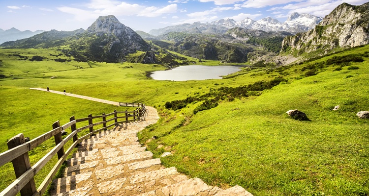 Picos de Europa